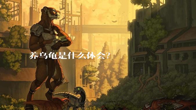 养乌龟是什么体会？