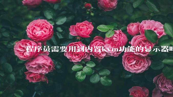 程序员需要用到内置kvm功能的显示器吗？或者是外置的kvm切换器吗？