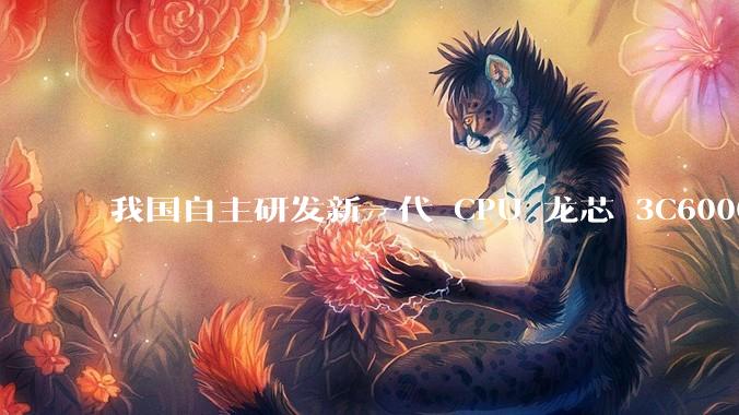 我国自主研发新一代 CPU 龙芯 3C6000 发布，不依赖国外授权技术和境外供应链，有何技术亮点？