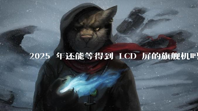 2025 年还能等得到 LCD 屏的旗舰机吗？