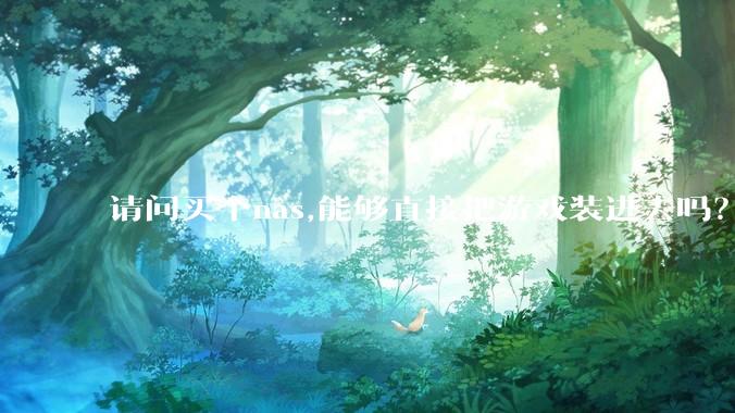 请问买个nas,能够直接把游戏装进去吗？