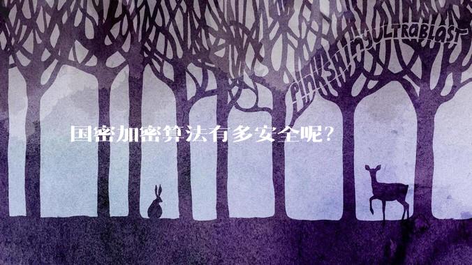 国密加密算法有多安全呢？