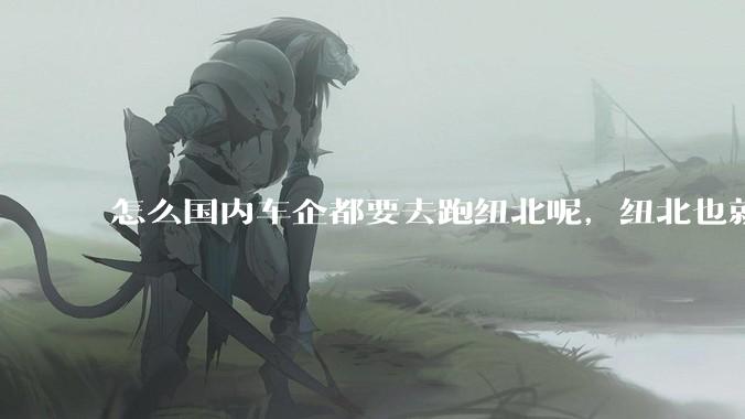 怎么国内车企都要去跑纽北呢，纽北也就是个普通赛道?