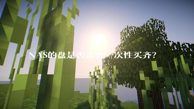 NAS的盘是否需要一次性买齐？