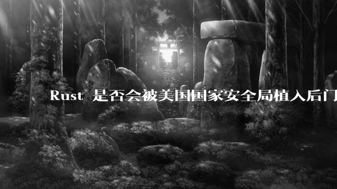 Rust 是否会被美国国家安全局植入后门？