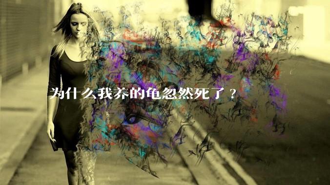 为什么我养的龟忽然死了?